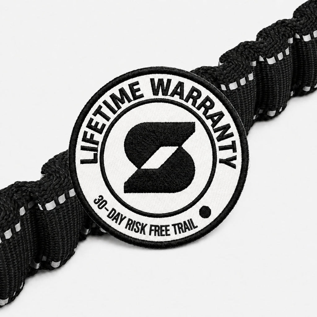 Bungee Dog Leash