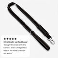 Bungee Dog Leash