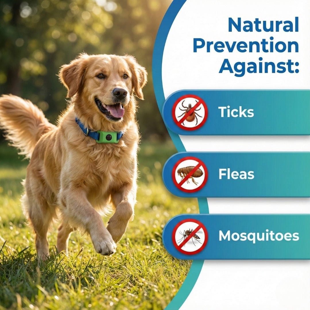 EcoTick™ Flea and Tick Free