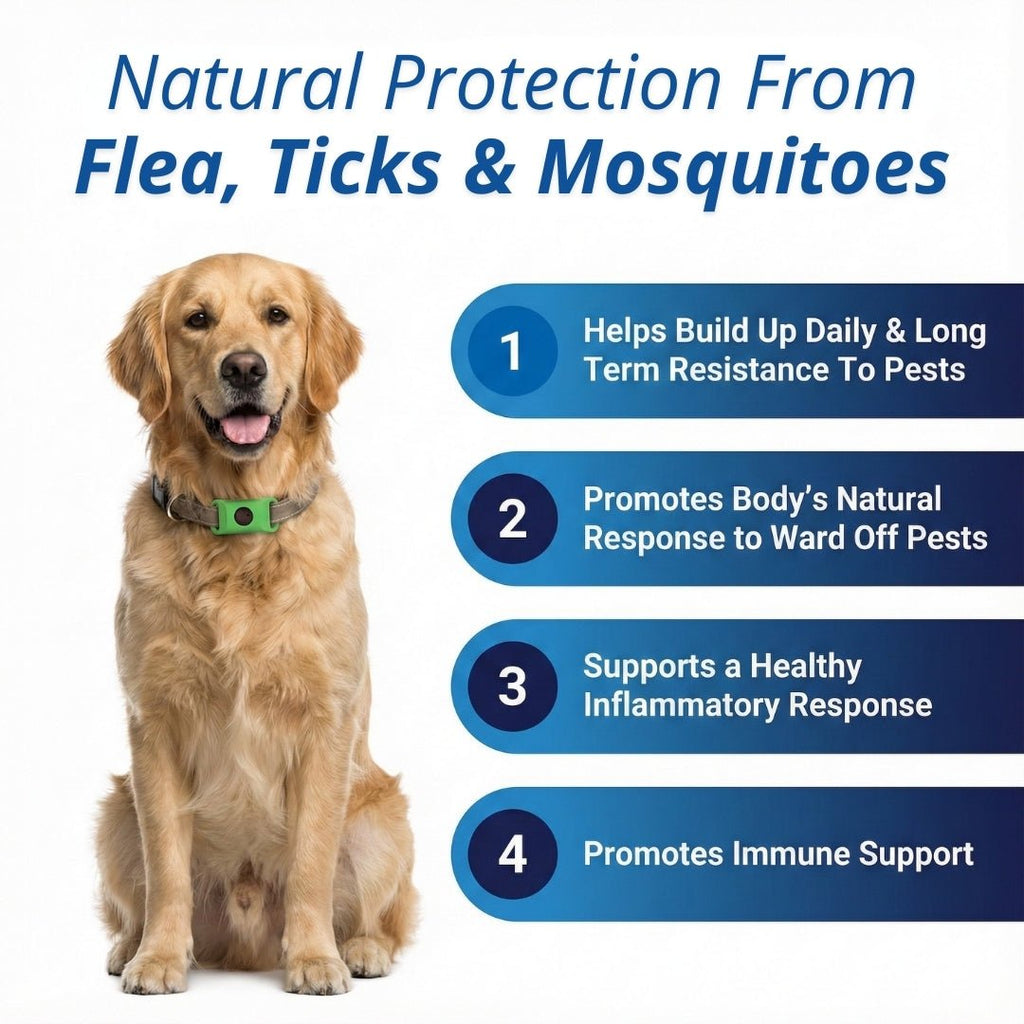 EcoTick™ Flea and Tick Free