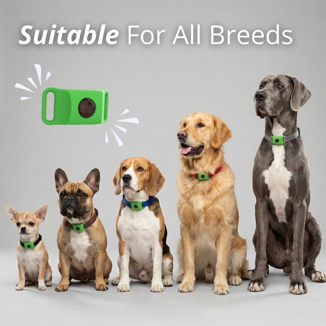 EcoTick™ Flea and Tick Free